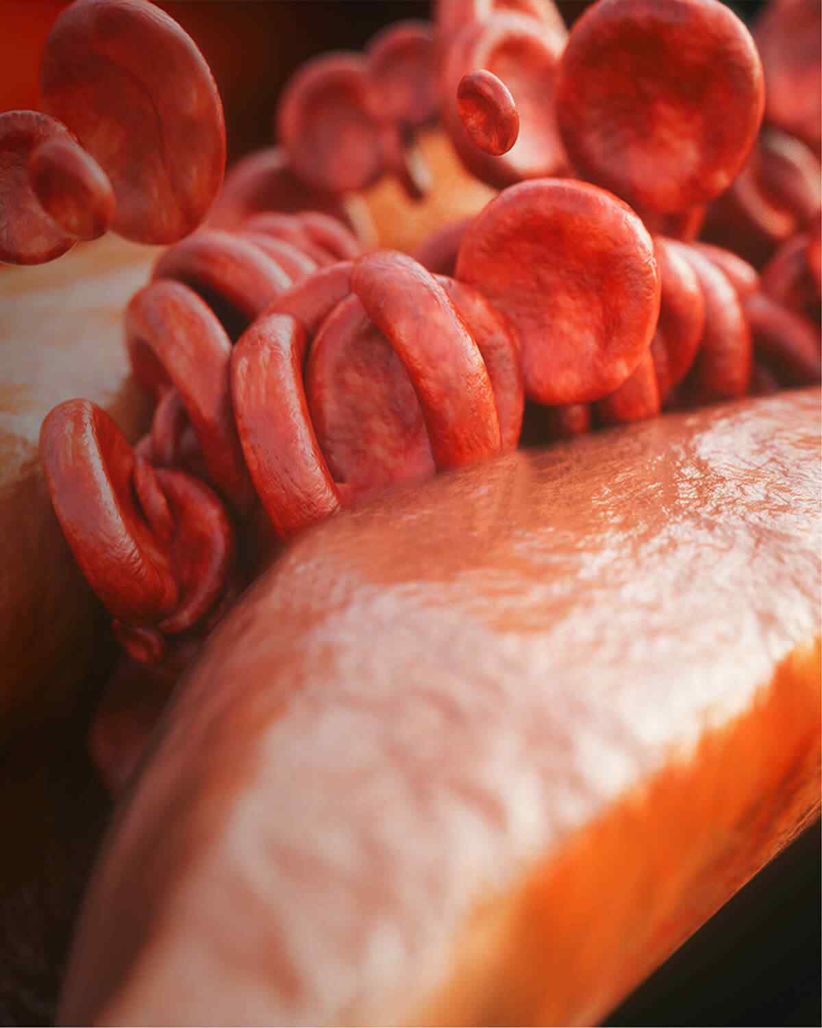 https://hexapharmaegy.com/wp-content/uploads/2021/08/interactive_image_right.jpg